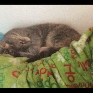 Meet your Posher, Amy